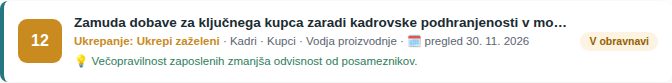 Ena vrstica seznama: ocena, naziv, razred ukrepanja, kategorija, področje, odgovornost, rok pregleda, priložnost in status